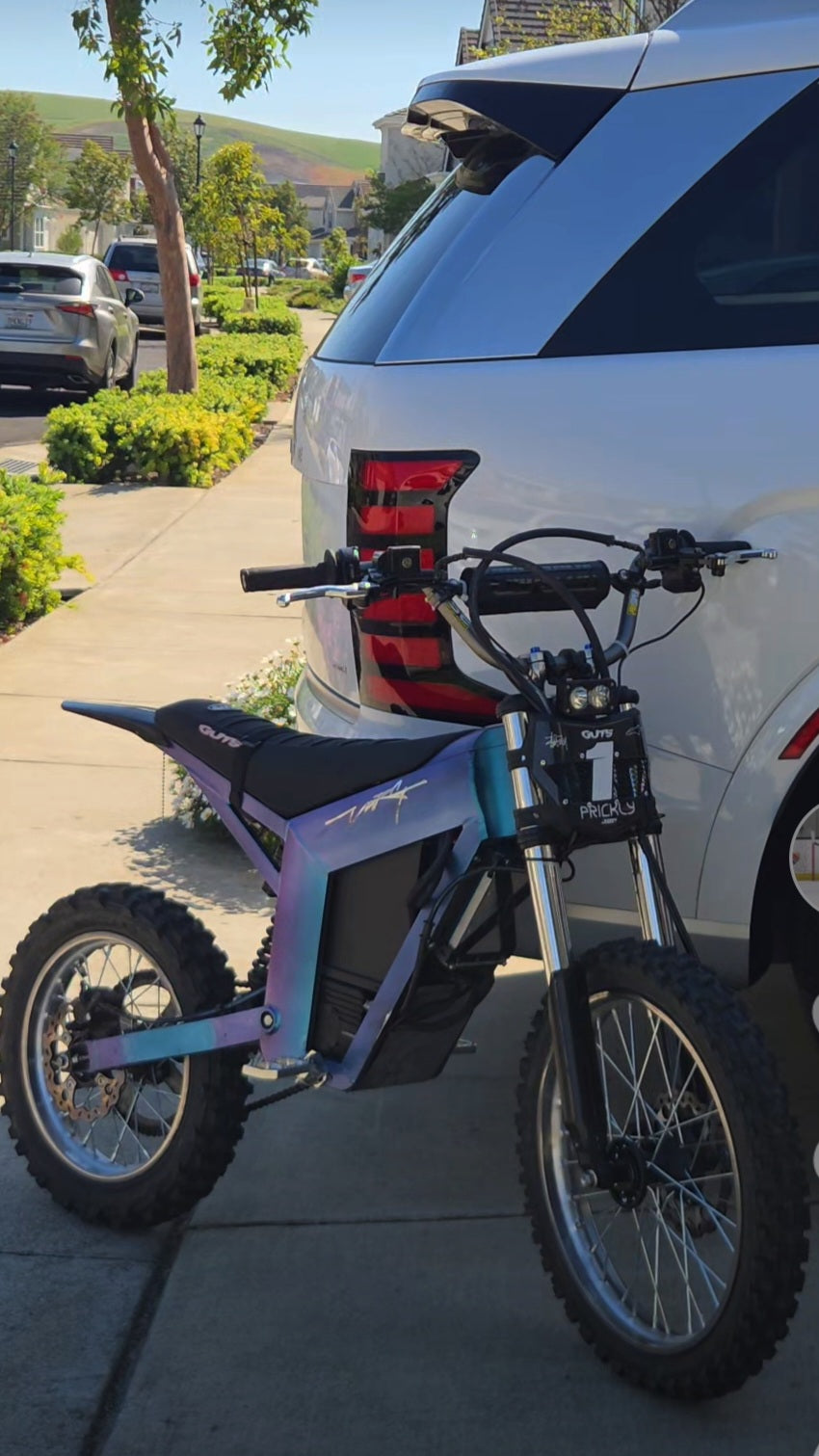 Varg Tuttio Sticker Decal